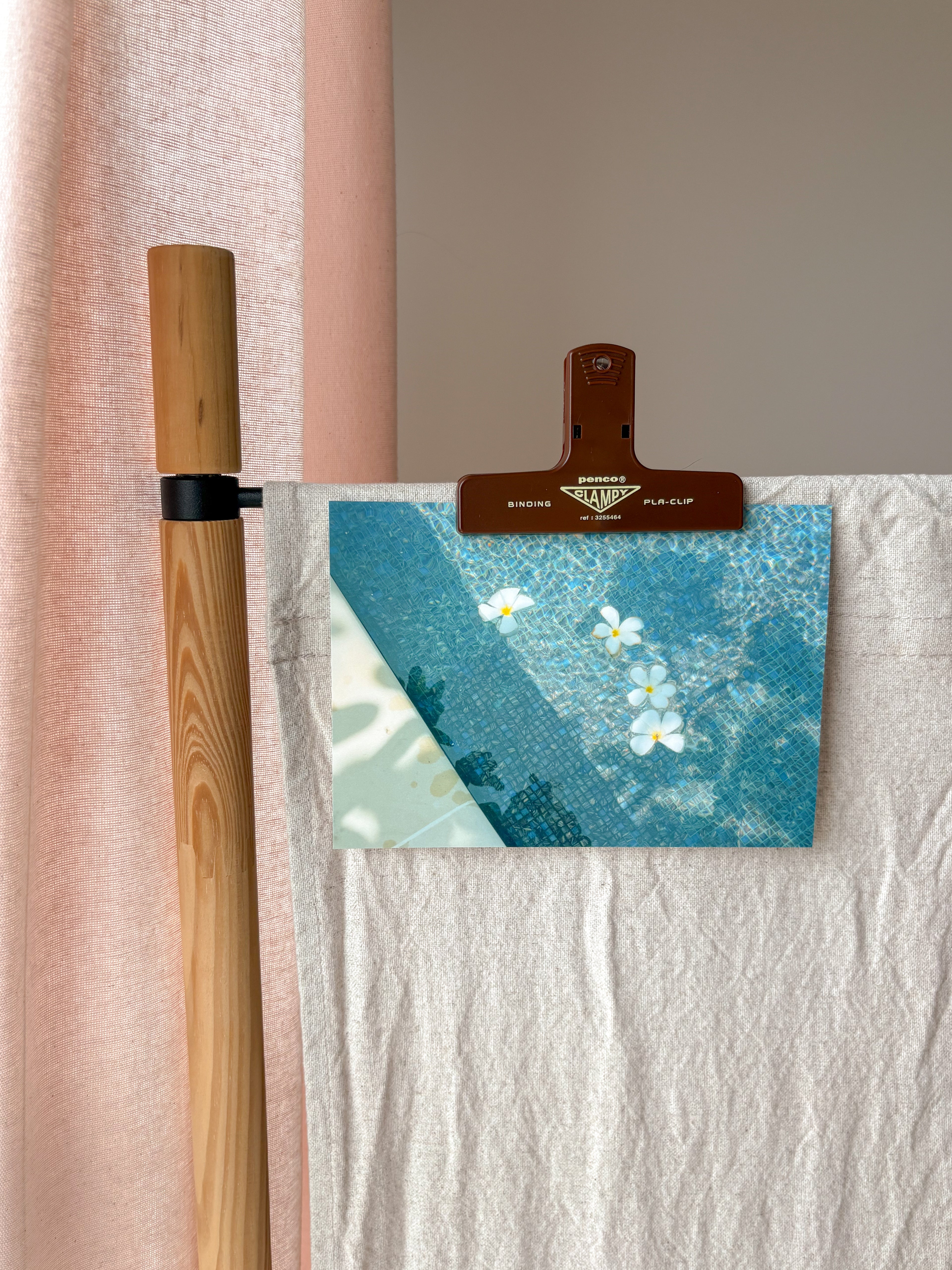 Floating Plumerias - Photography Print - 5X7"