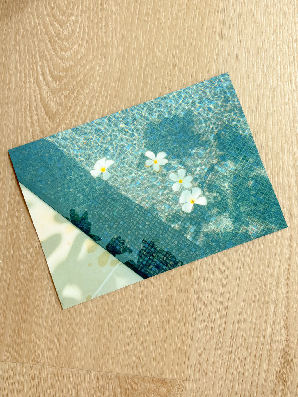 Floating Plumerias - Photography Print - 5X7"