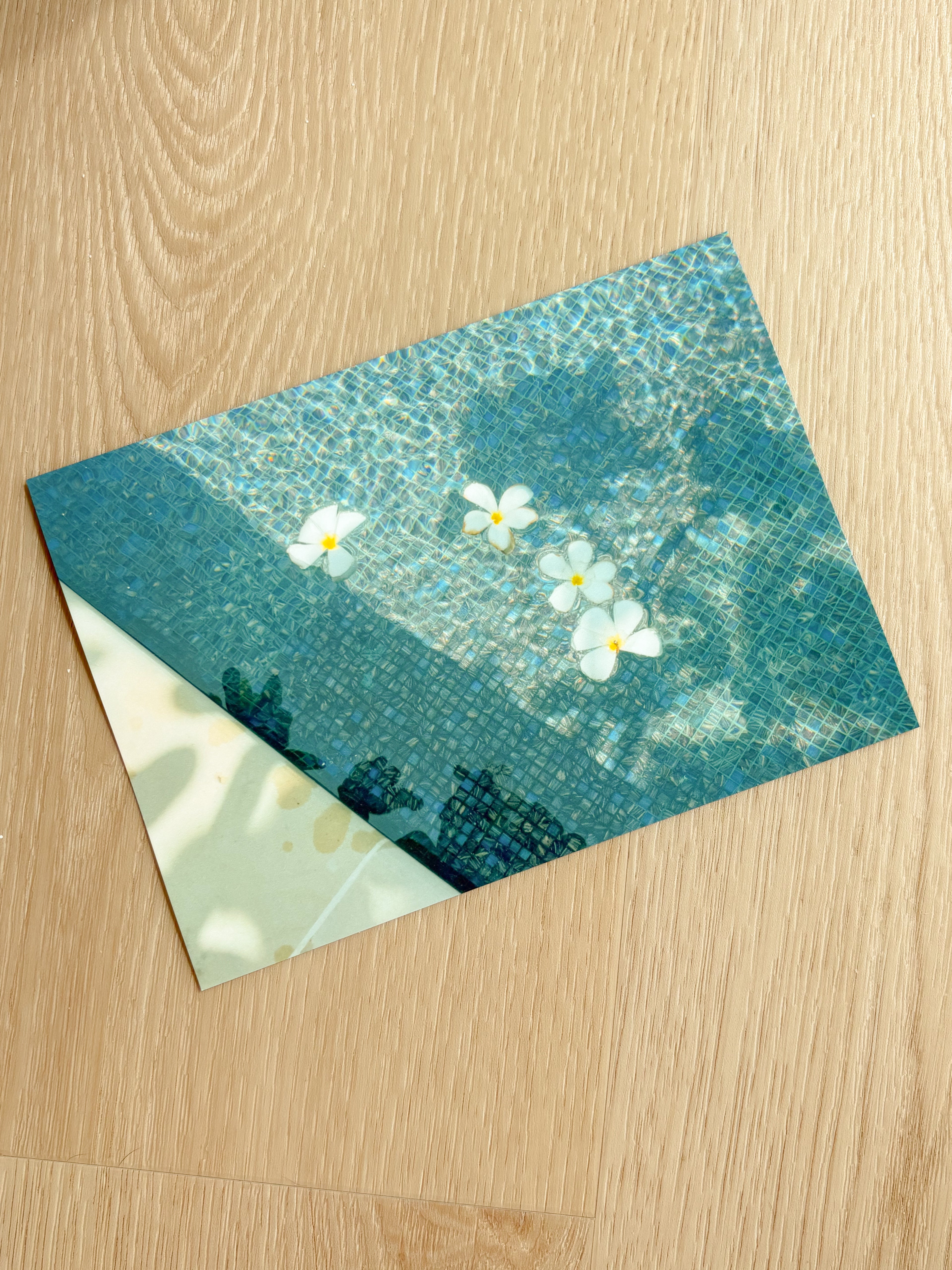 Floating Plumerias - Photography Print - 5X7"