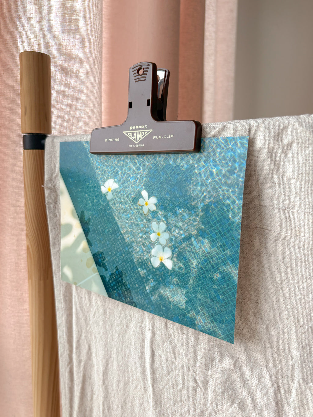 Floating Plumerias - Photography Print - 5X7"