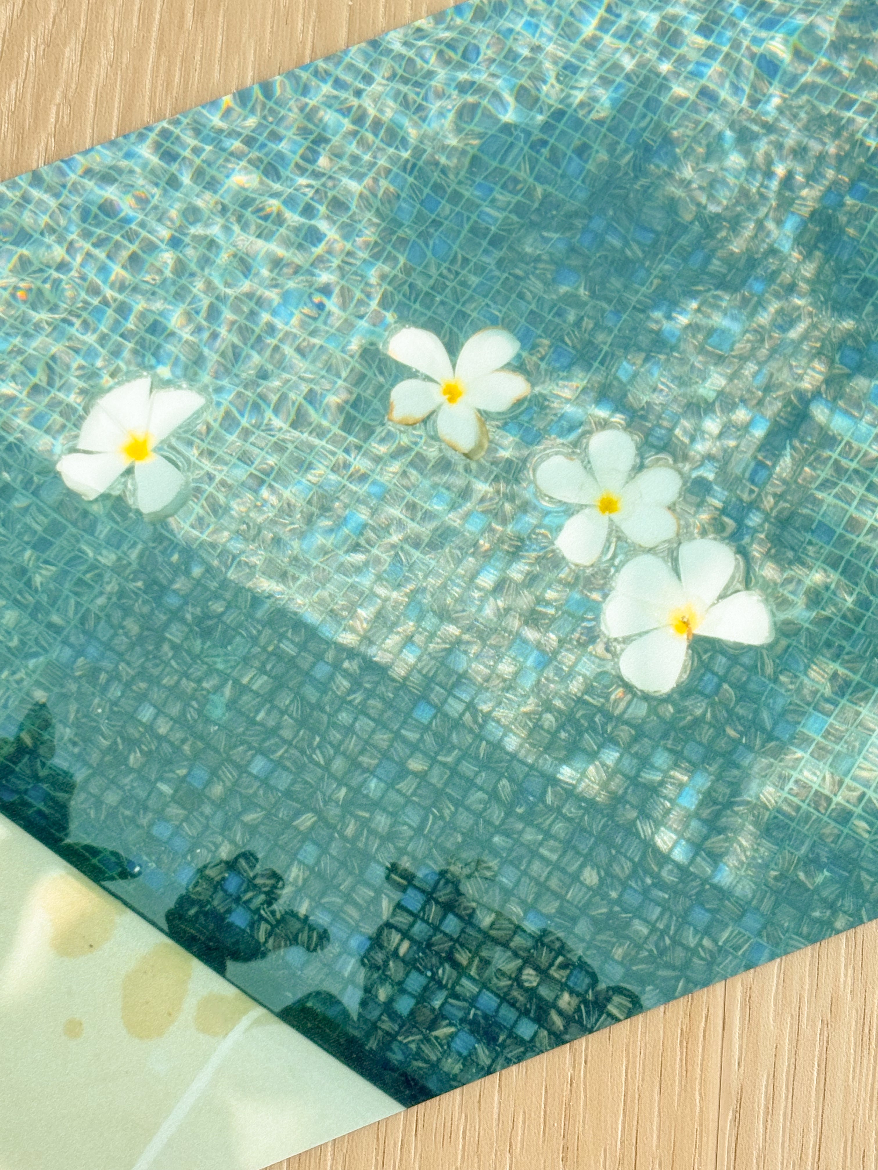 Floating Plumerias - Photography Print - 5X7"