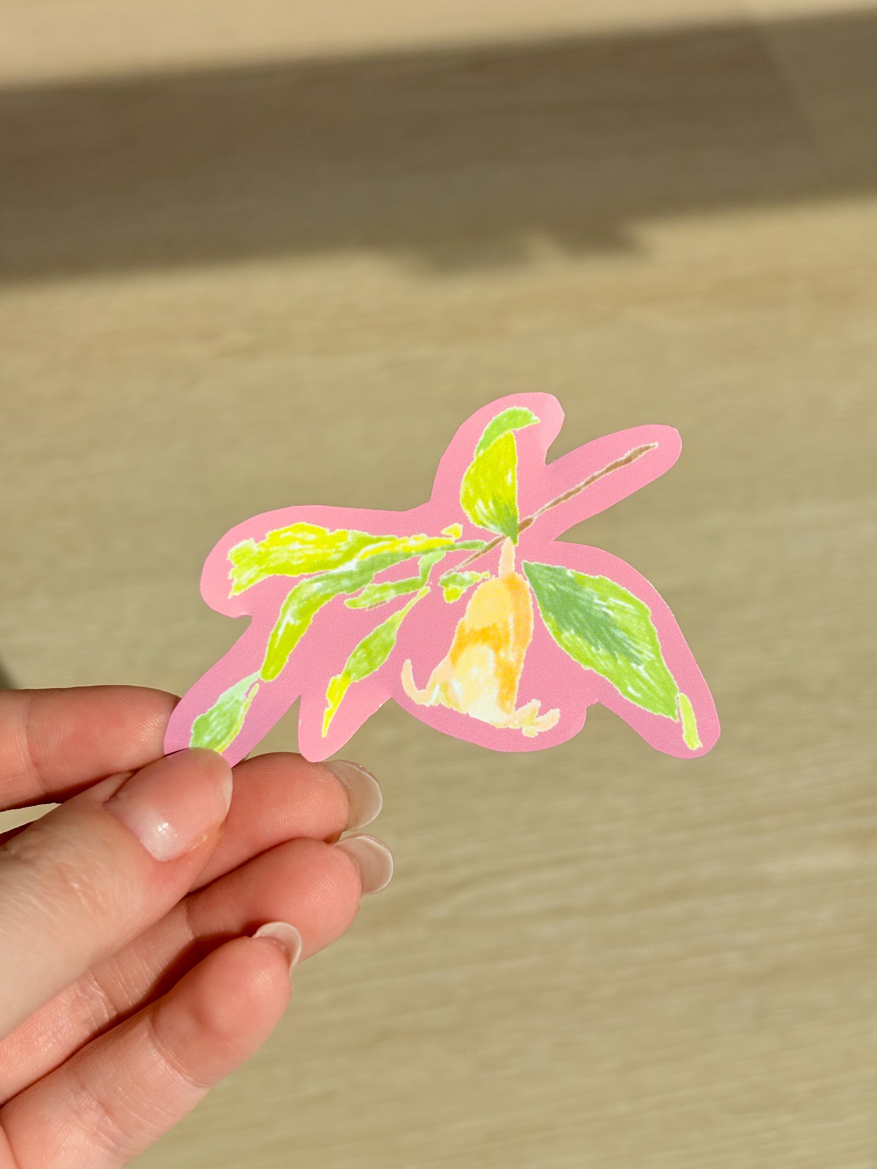 Pomegranate Waterproof Die Cut Sticker