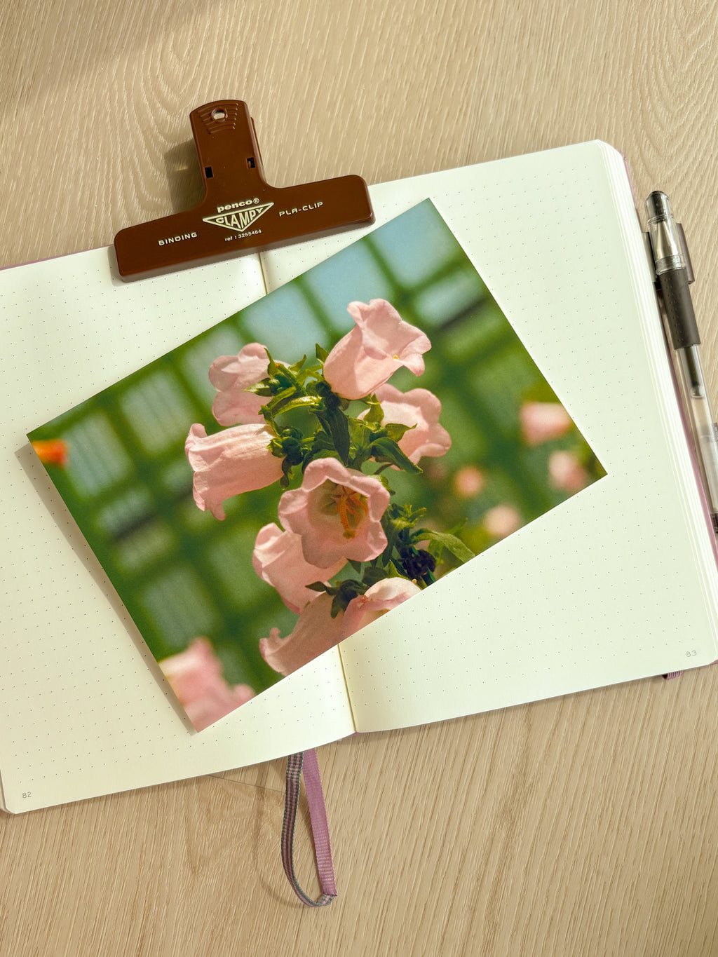Pink Canterbury Bells - Photography Print - 5X7"