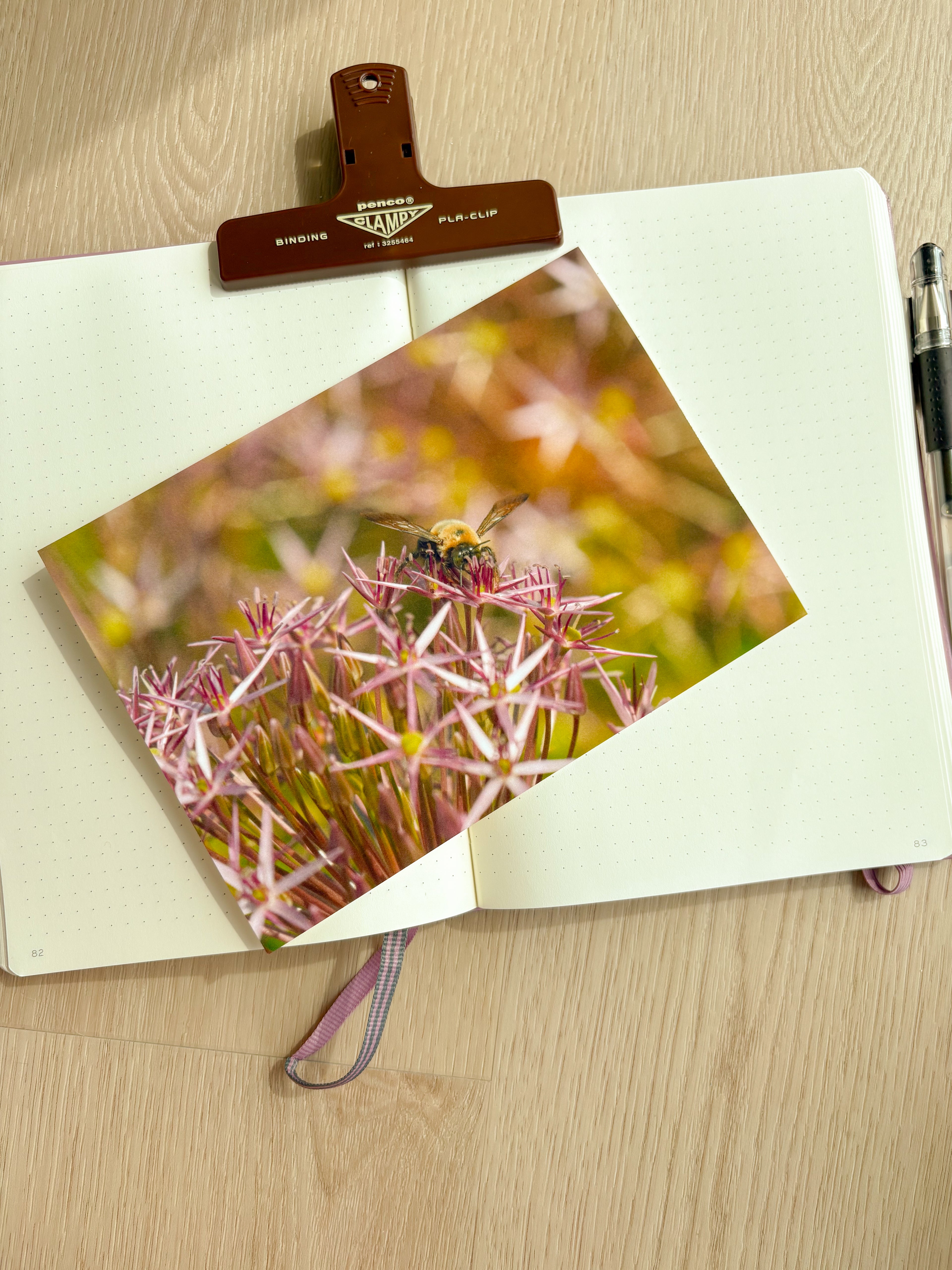 Pollination - Photography Print - 5X7"