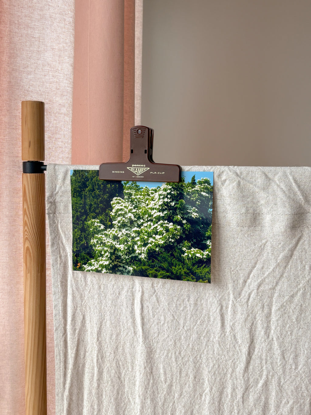 Lucious Blooming Tree - Photography Print - 5X7"