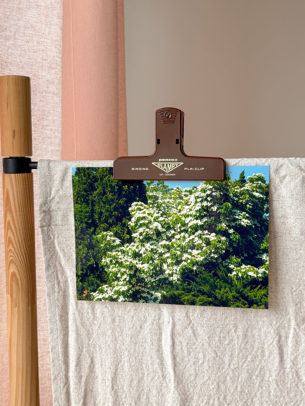 Lucious Blooming Tree - Photography Print - 5X7"