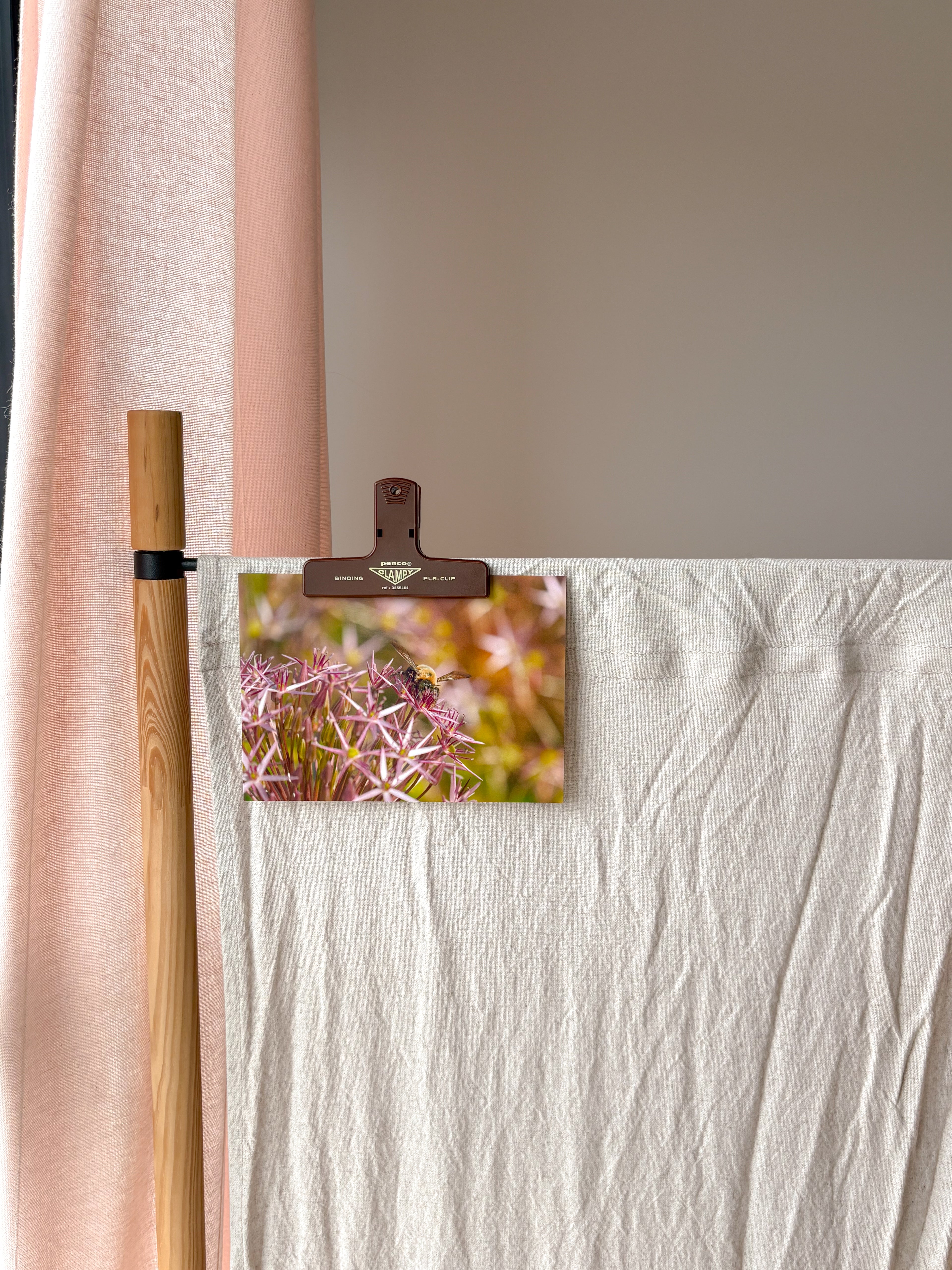 Pollination - Photography Print - 5X7"