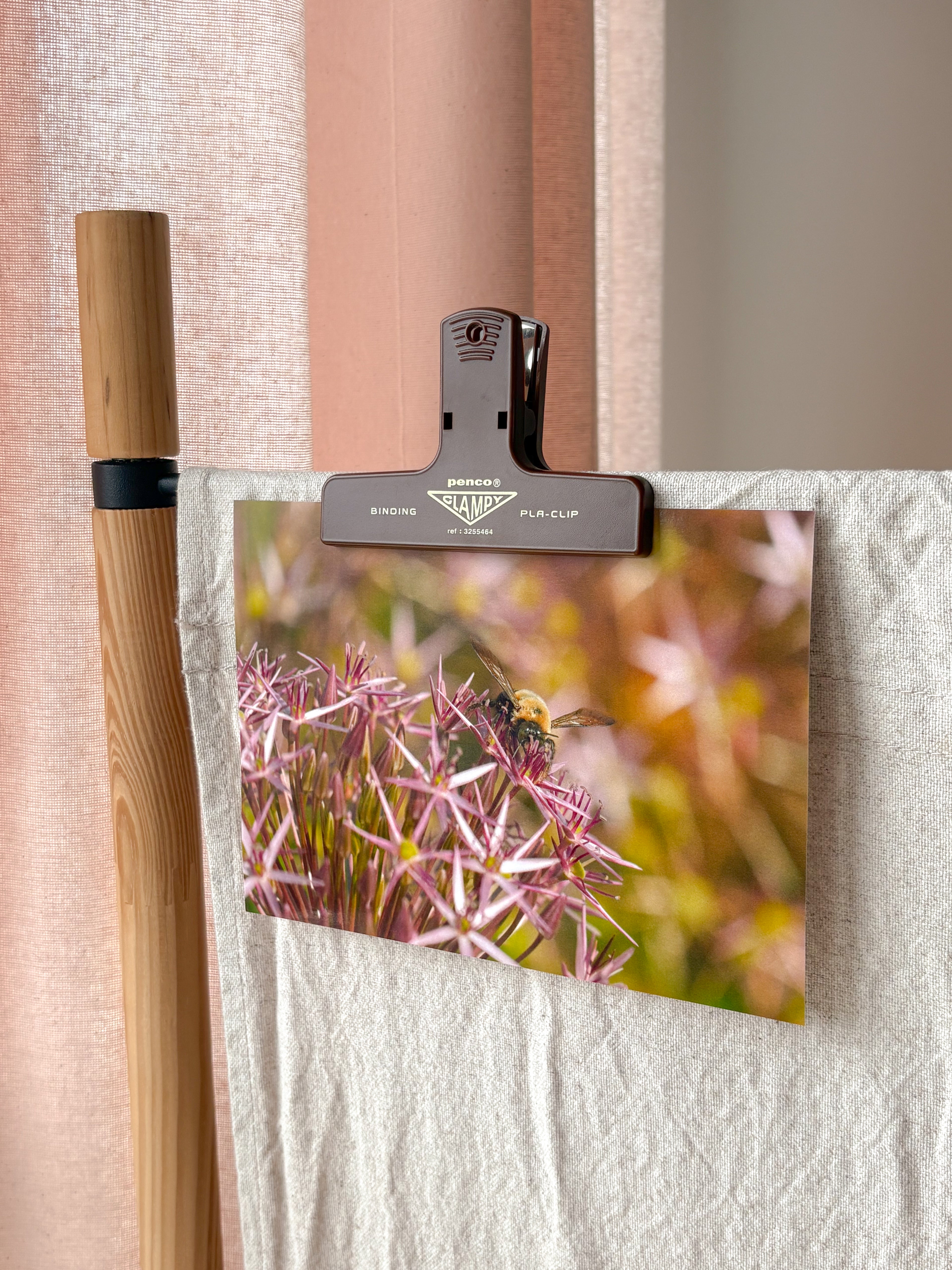 Pollination - Photography Print - 5X7"