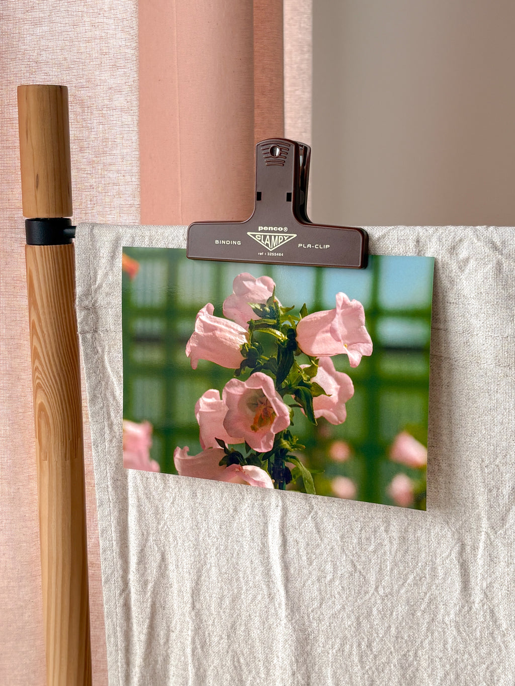 Pink Canterbury Bells - Photography Print - 5X7"