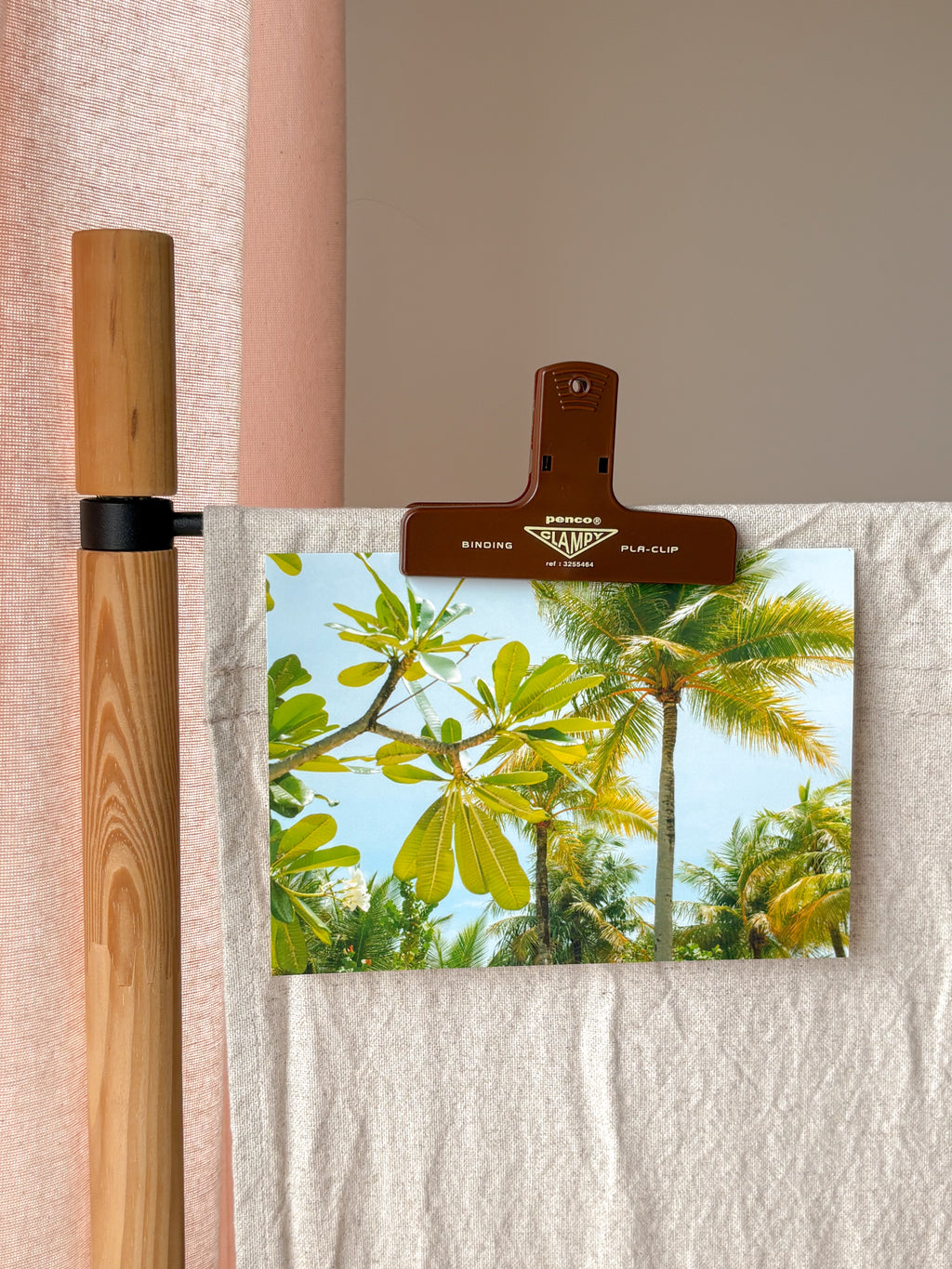 Sunny Palm Trees - Photography Print - 5X7"
