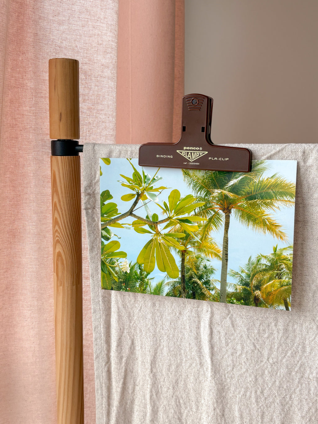 Sunny Palm Trees - Photography Print - 5X7"